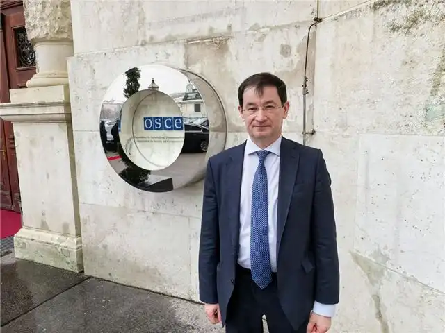 Полянский заявил, что ЕС устроит принудительная отправа украинцев на ф...