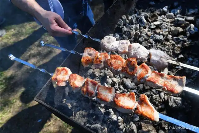Цвинария рекомендовала отдавать предпочтение для шашлыка мясу птицы, рыбе или молодому телёнку
