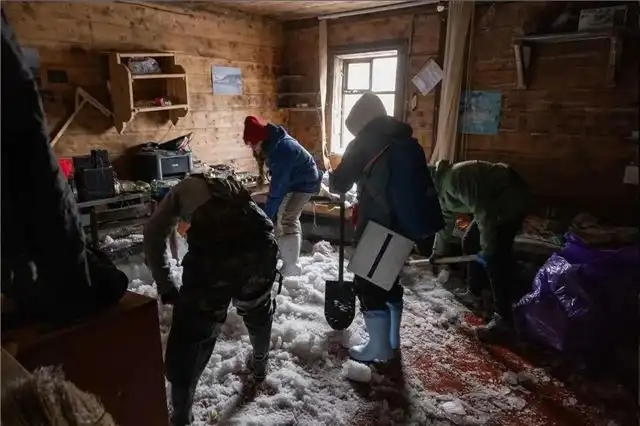 Дикие медведи разгромили полярную станцию «Бухта Тихая» на острове Гукера
