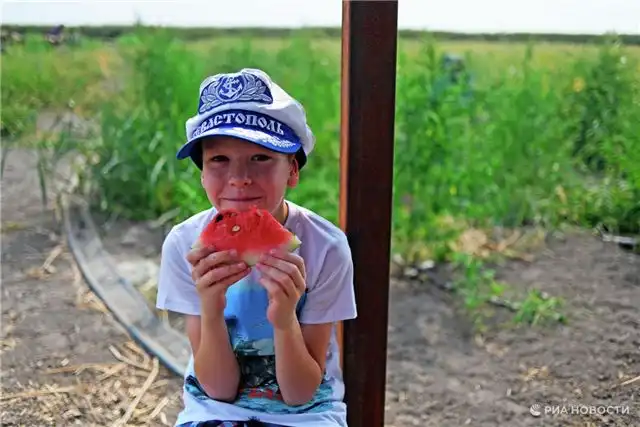 Сергунина заявила, что полезные домашние закуски уменьшают тягу детей к чипсам и сладостям